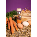 591_foto_64a6b740b2ec7_3