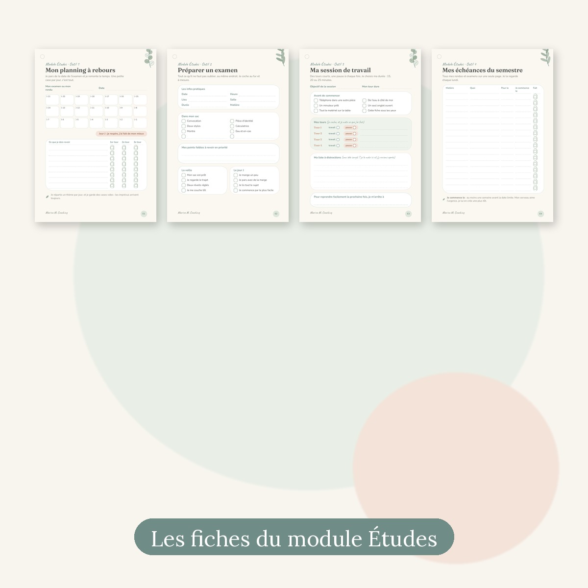 mon-esprit-en-ordre-etudes-2
