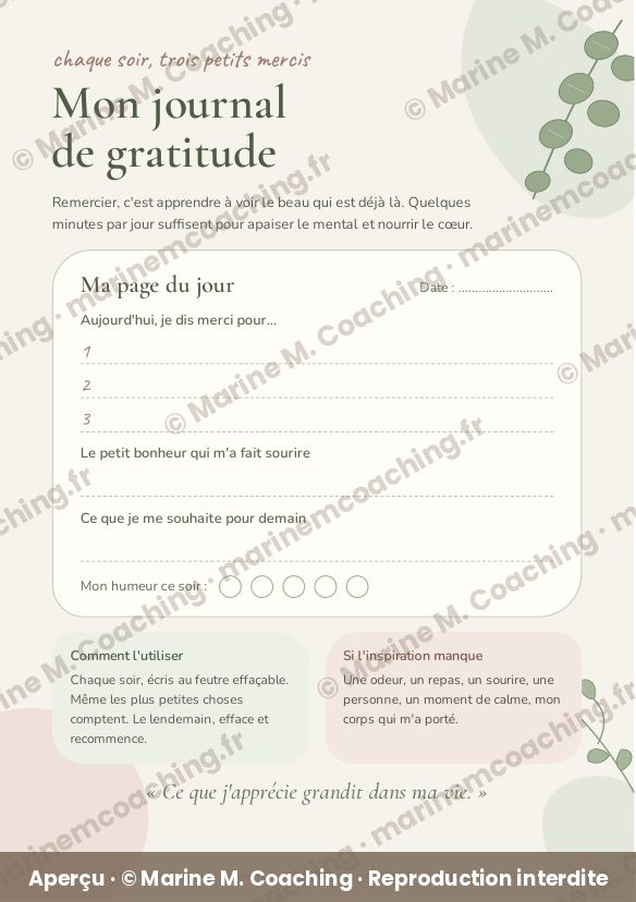 Aperçu de la fiche plastifiée Mon journal de gratitude