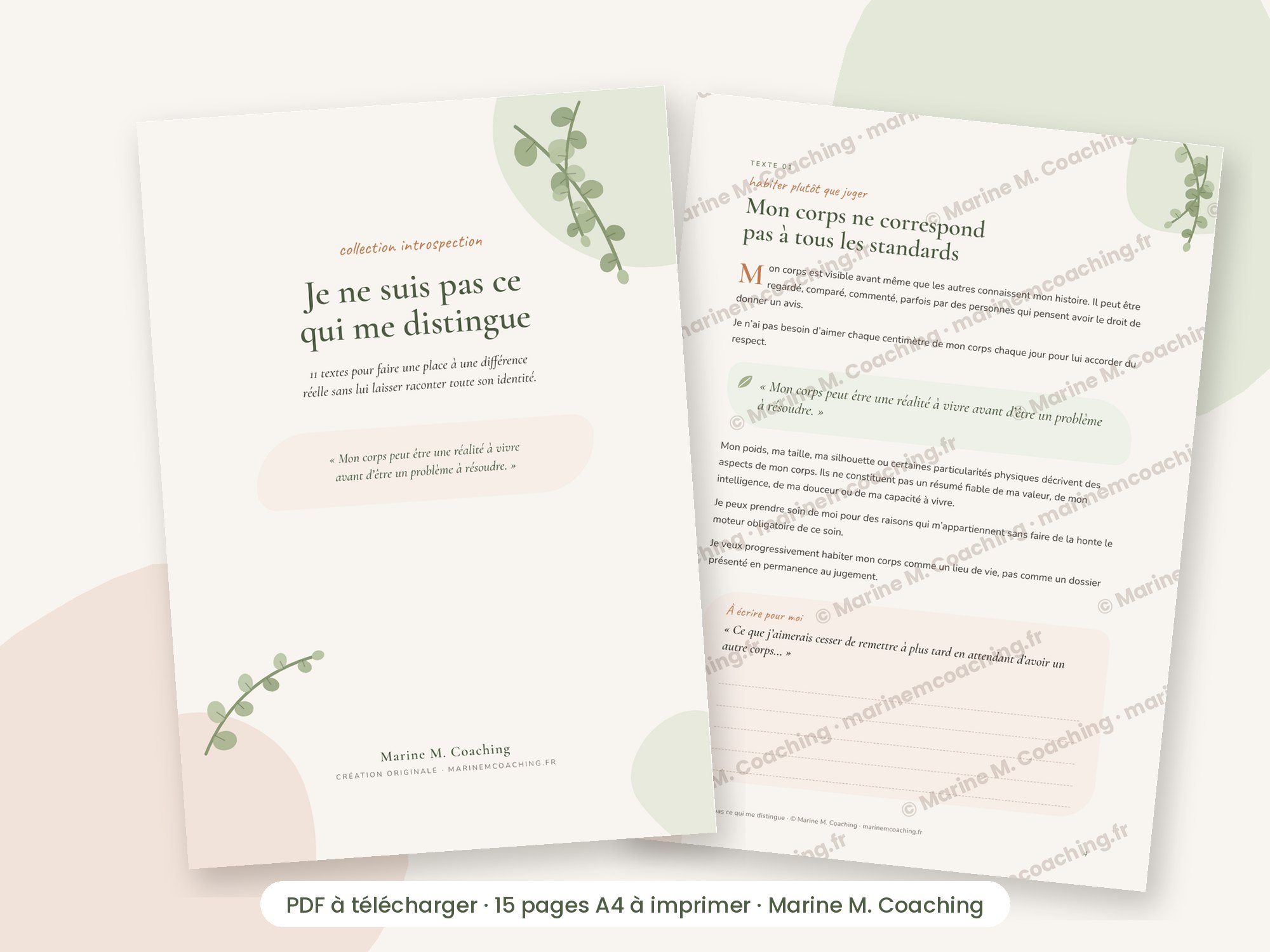 Carnet PDF Je ne suis pas ce qui me distingue, couverture et page intérieure