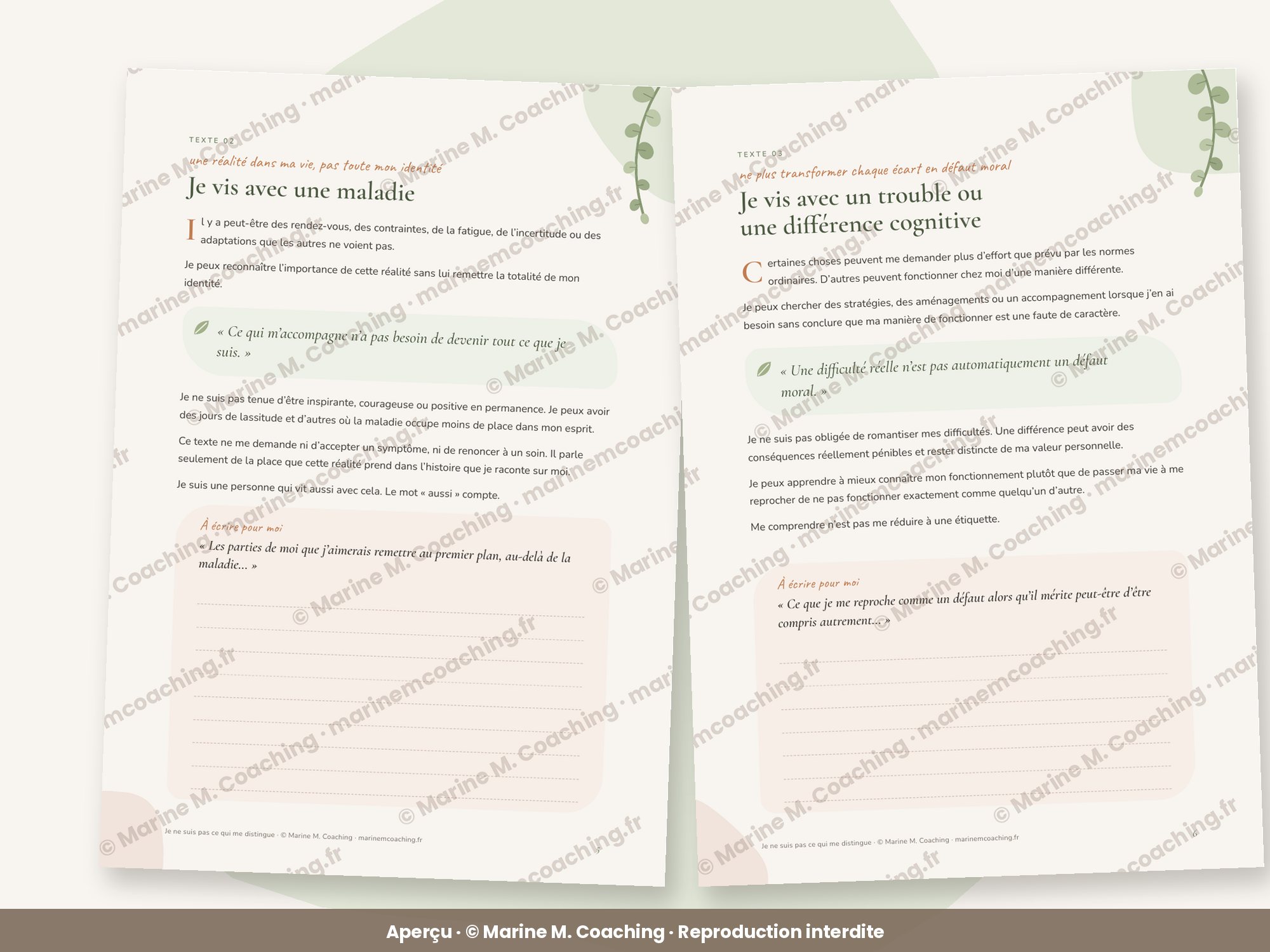Aperçu de deux pages intérieures du carnet Je ne suis pas ce qui me distingue