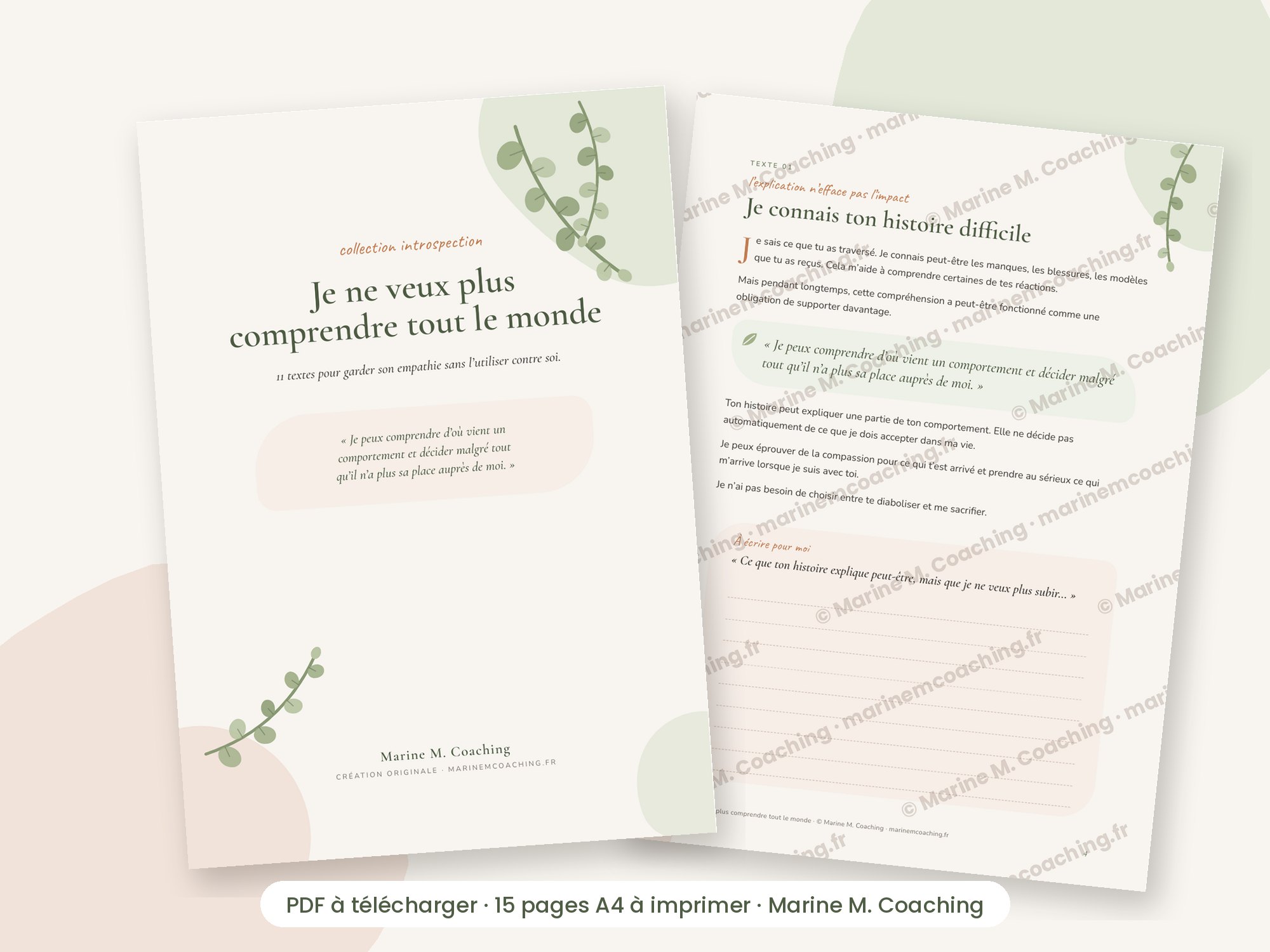 Carnet PDF Je ne veux plus comprendre tout le monde, couverture et page intérieure