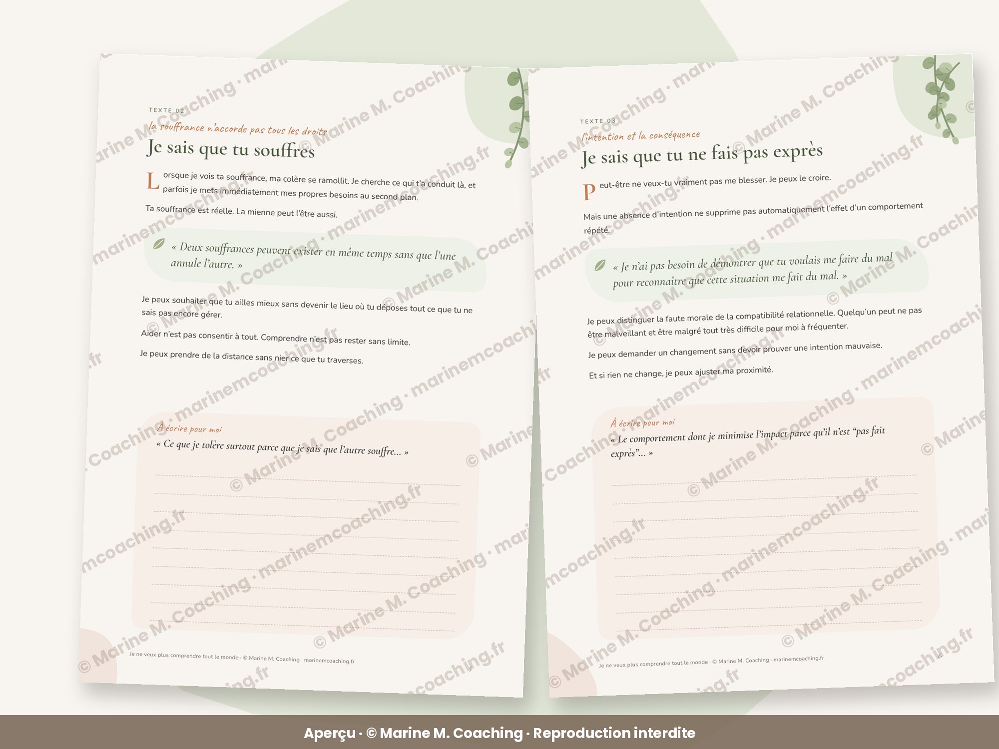 Aperçu de deux pages intérieures du carnet Je ne veux plus comprendre tout le monde