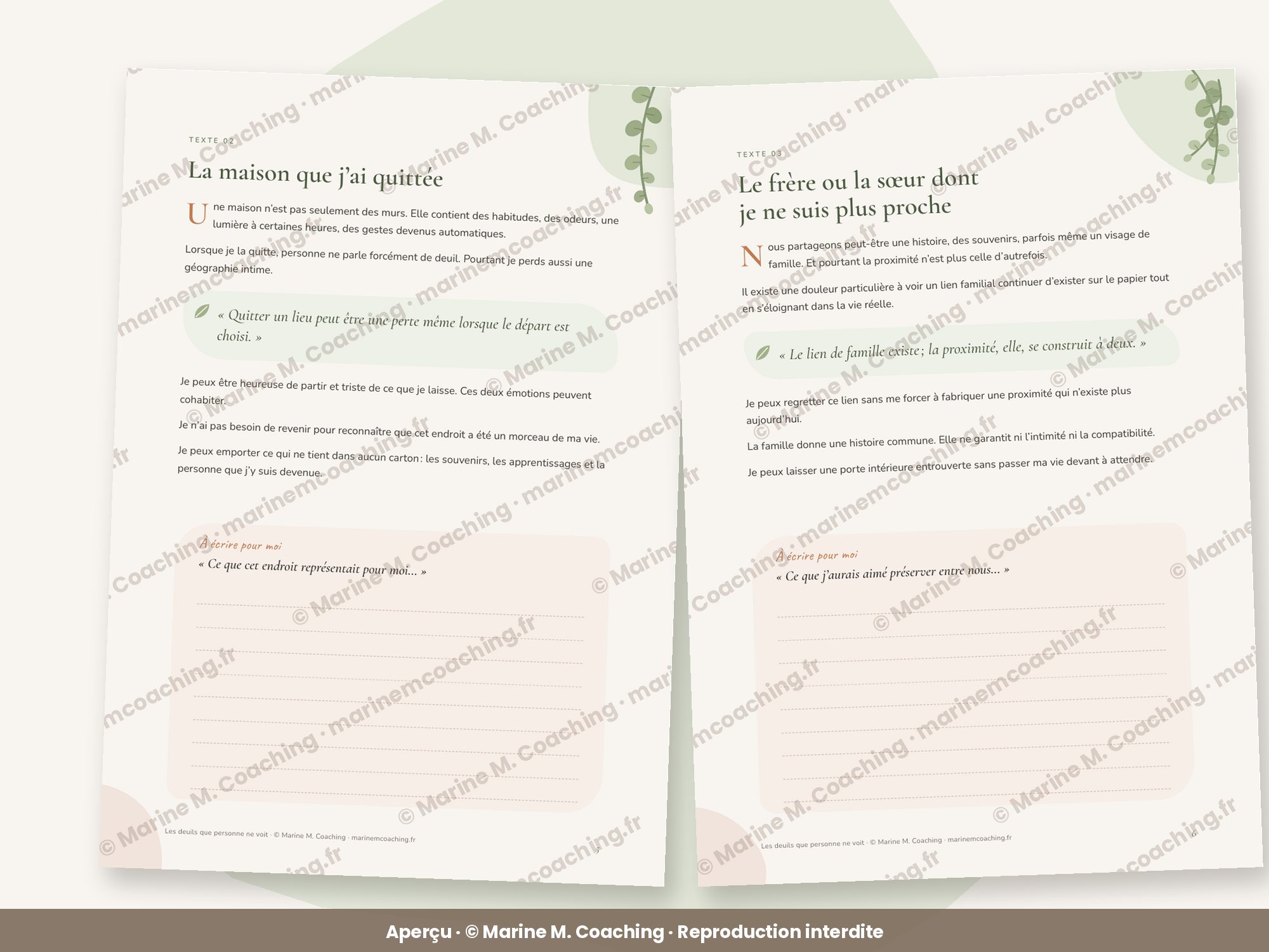 Aperçu de deux pages intérieures du carnet Les deuils que personne ne voit