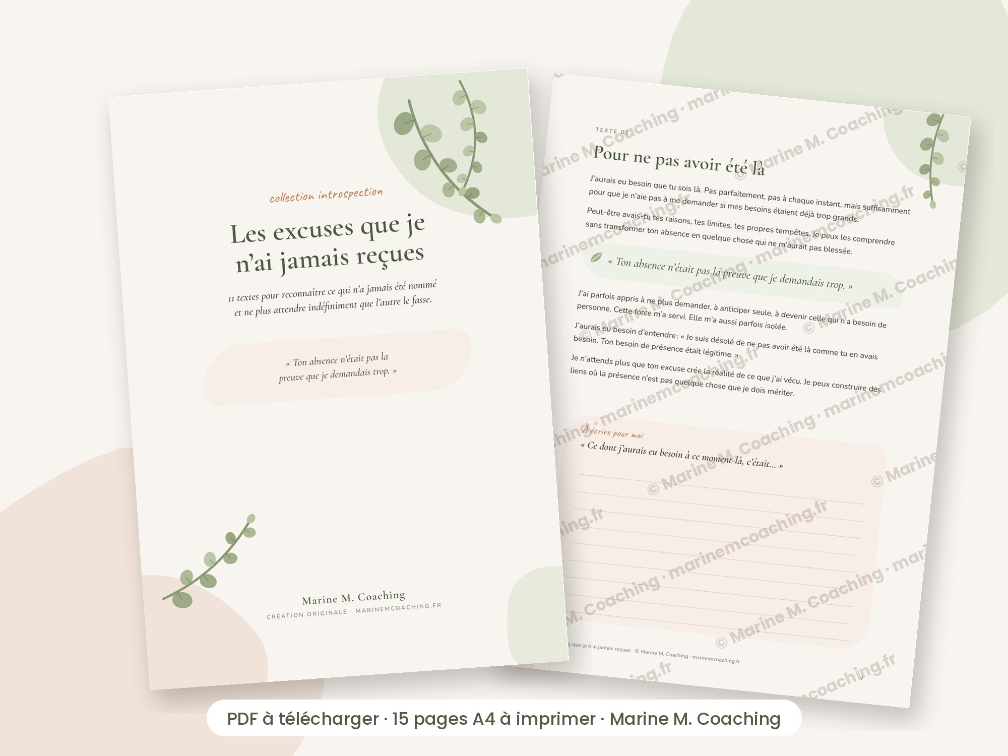 Carnet PDF Les excuses que je nai jamais reçues, couverture et page intérieure