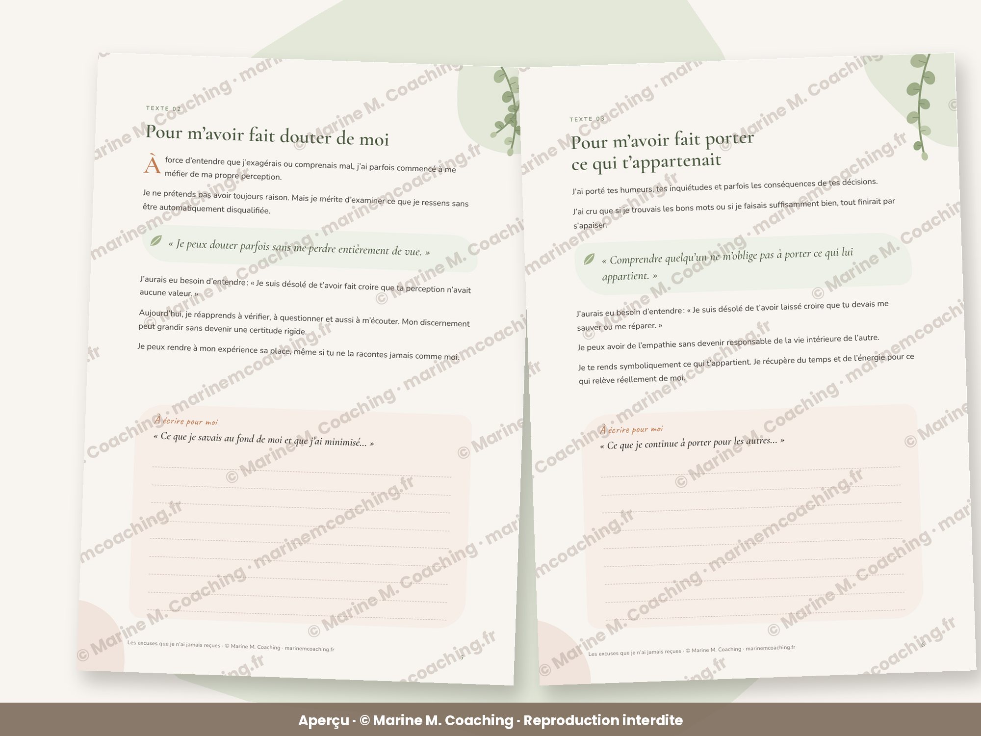 Aperçu de deux pages intérieures du carnet Les excuses que je nai jamais reçues