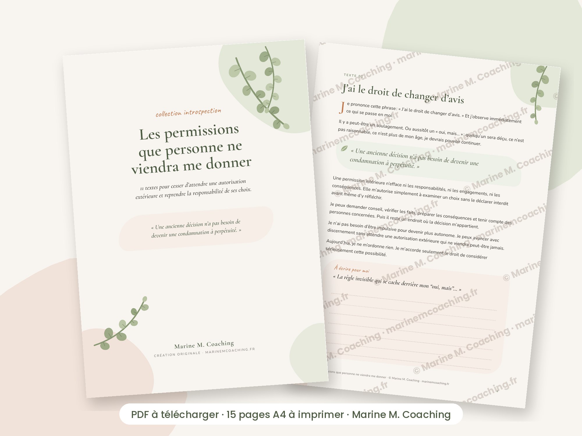 Carnet PDF Les permissions que personne ne viendra me donner, couverture et page