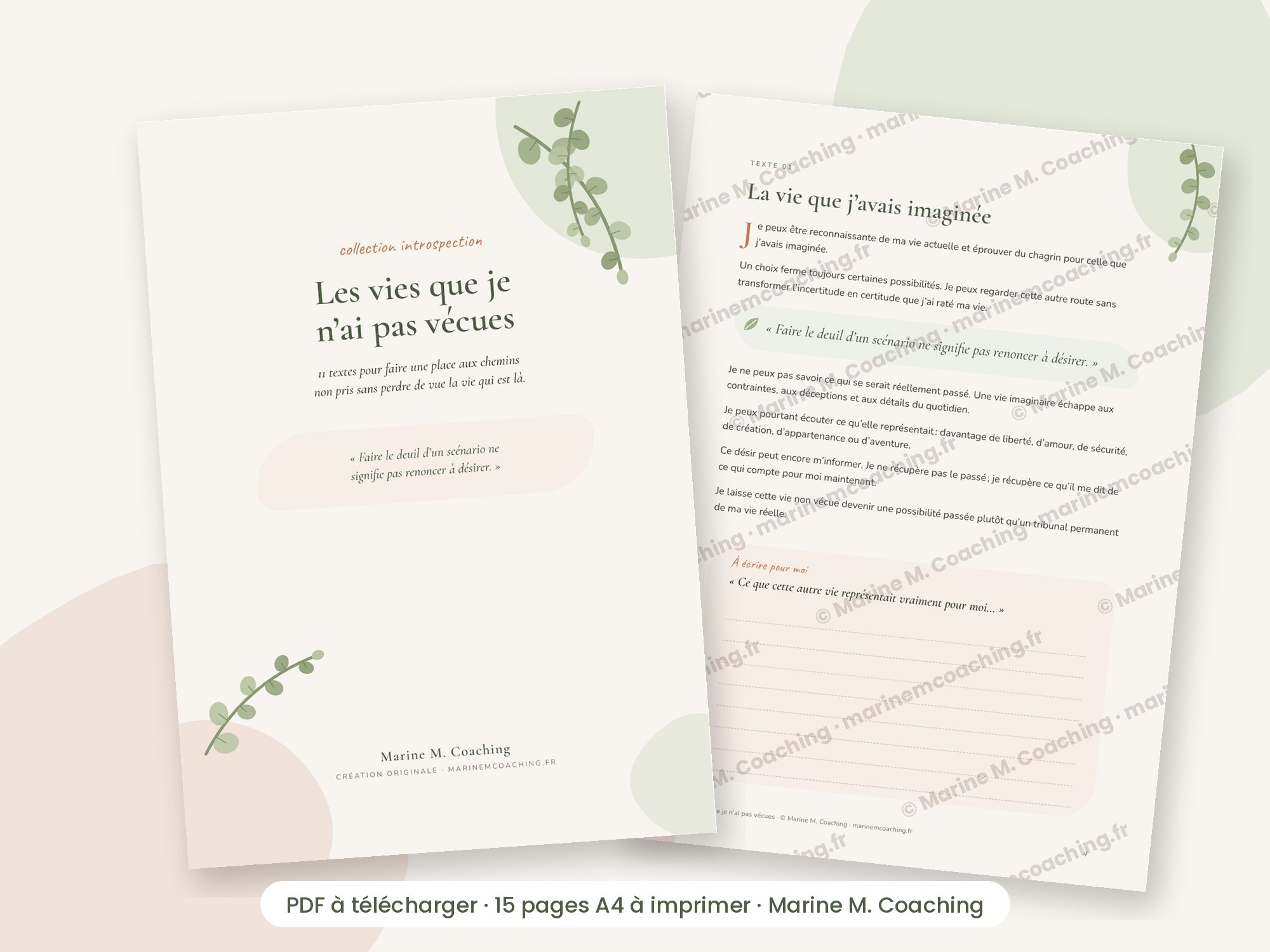 Carnet PDF Les vies que je nai pas vécues, couverture et page intérieure