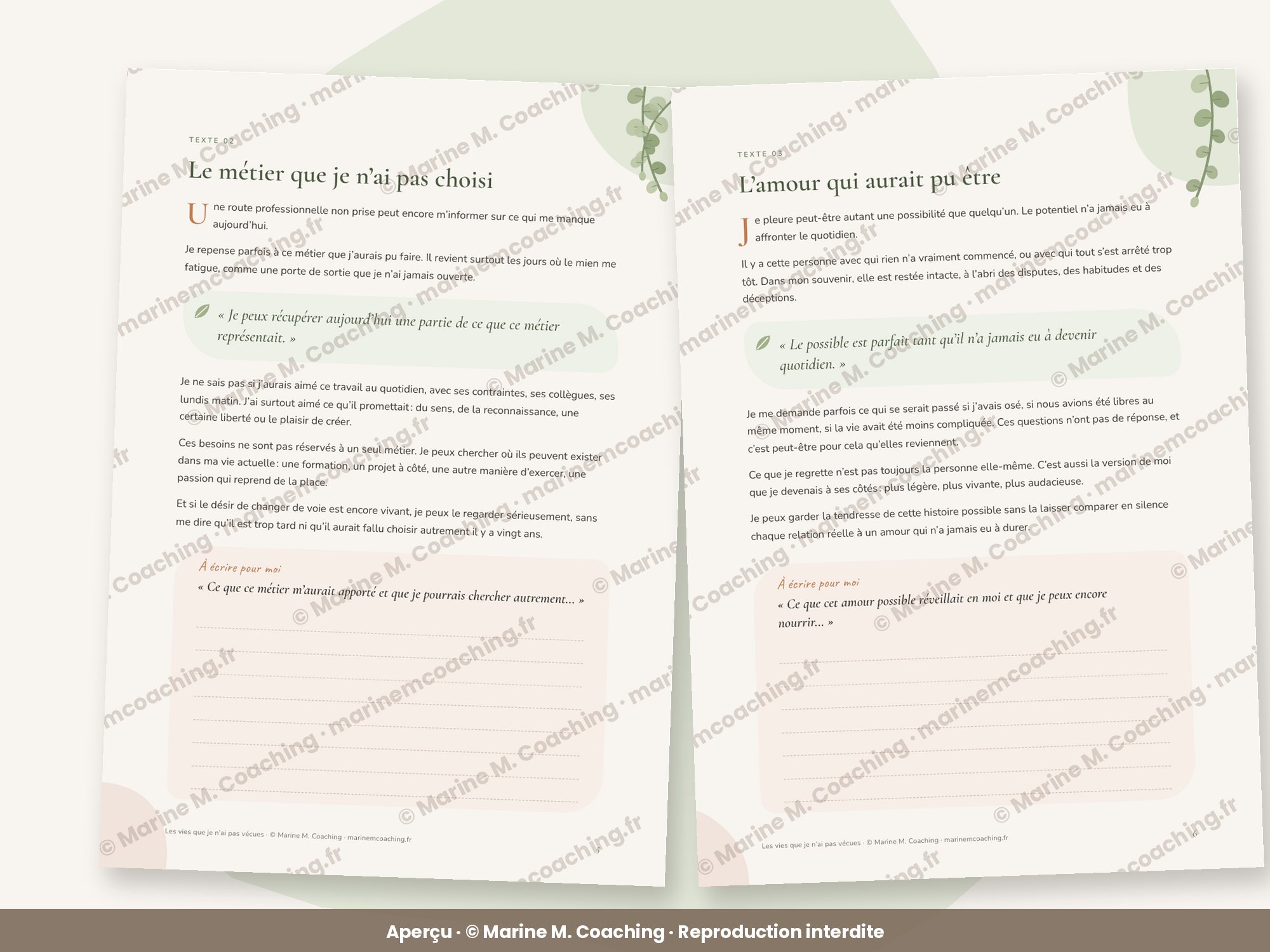 Aperçu de deux pages intérieures du carnet Les vies que je nai pas vécues