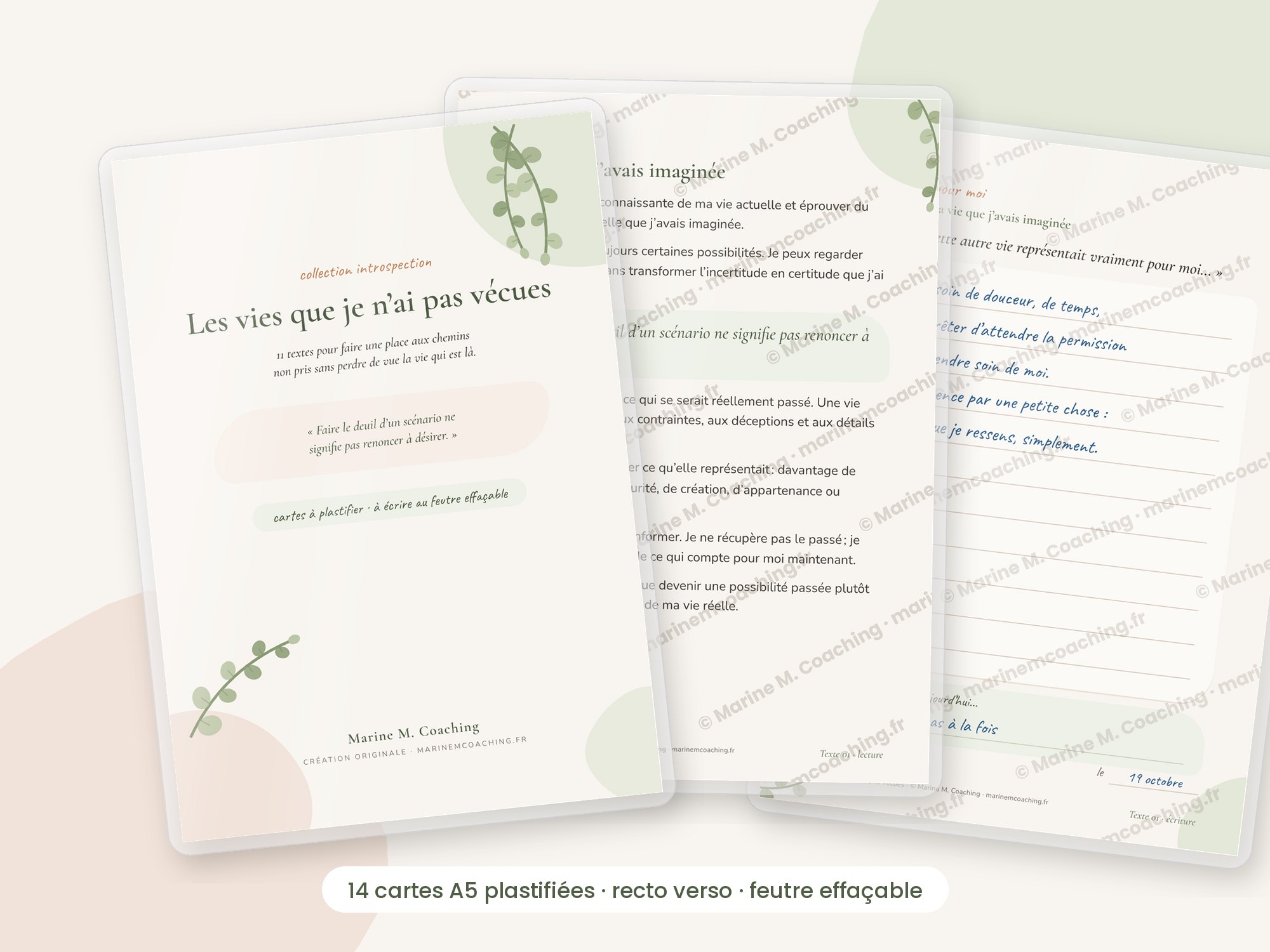 Cartes A5 plastifiées Les vies que je nai pas vécues