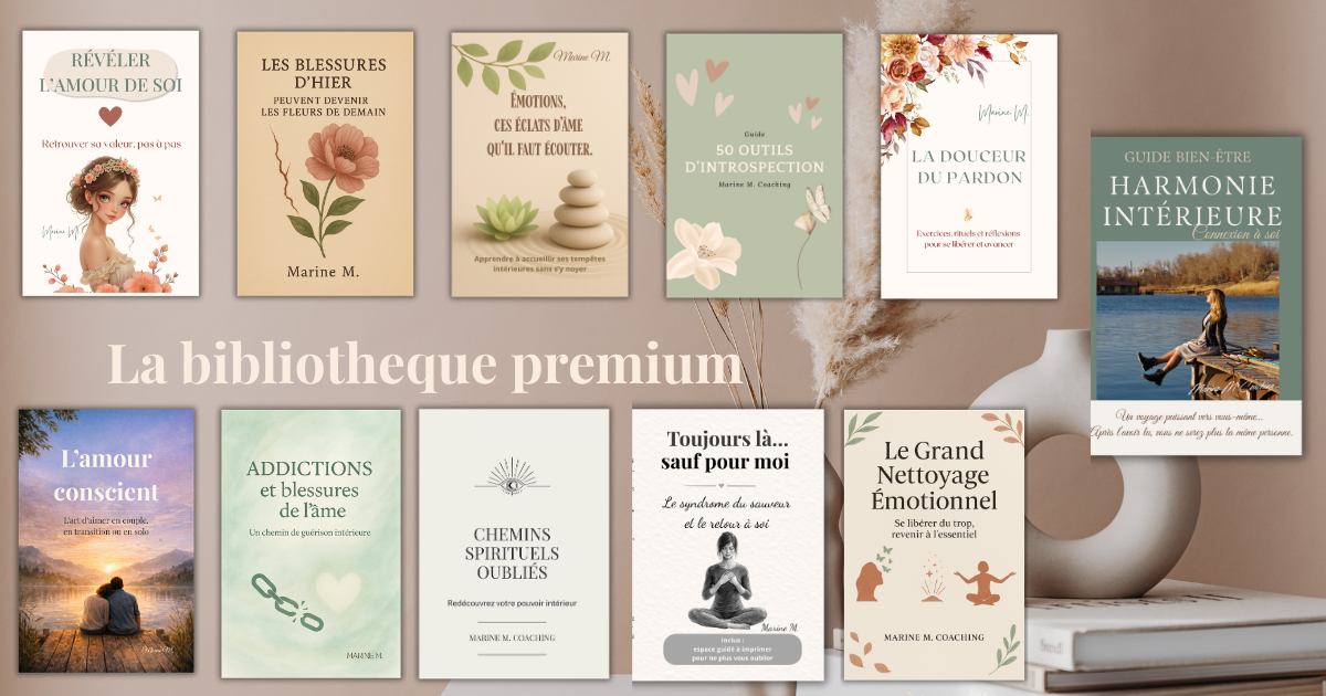 bibliotheque-premium-livres-broches-developpement-personnel