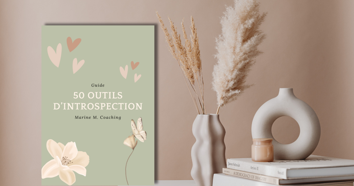 50 outils d introspection wizishop