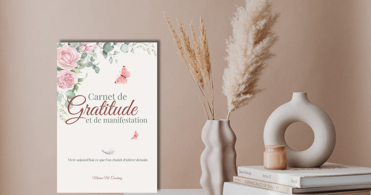 mon cahier de gratitude et de manifestation wizishop