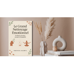 Le grand nettoyage émotionnel wizishop
