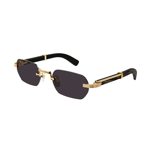 Lunettes de soleil pour hommes - CT0362S