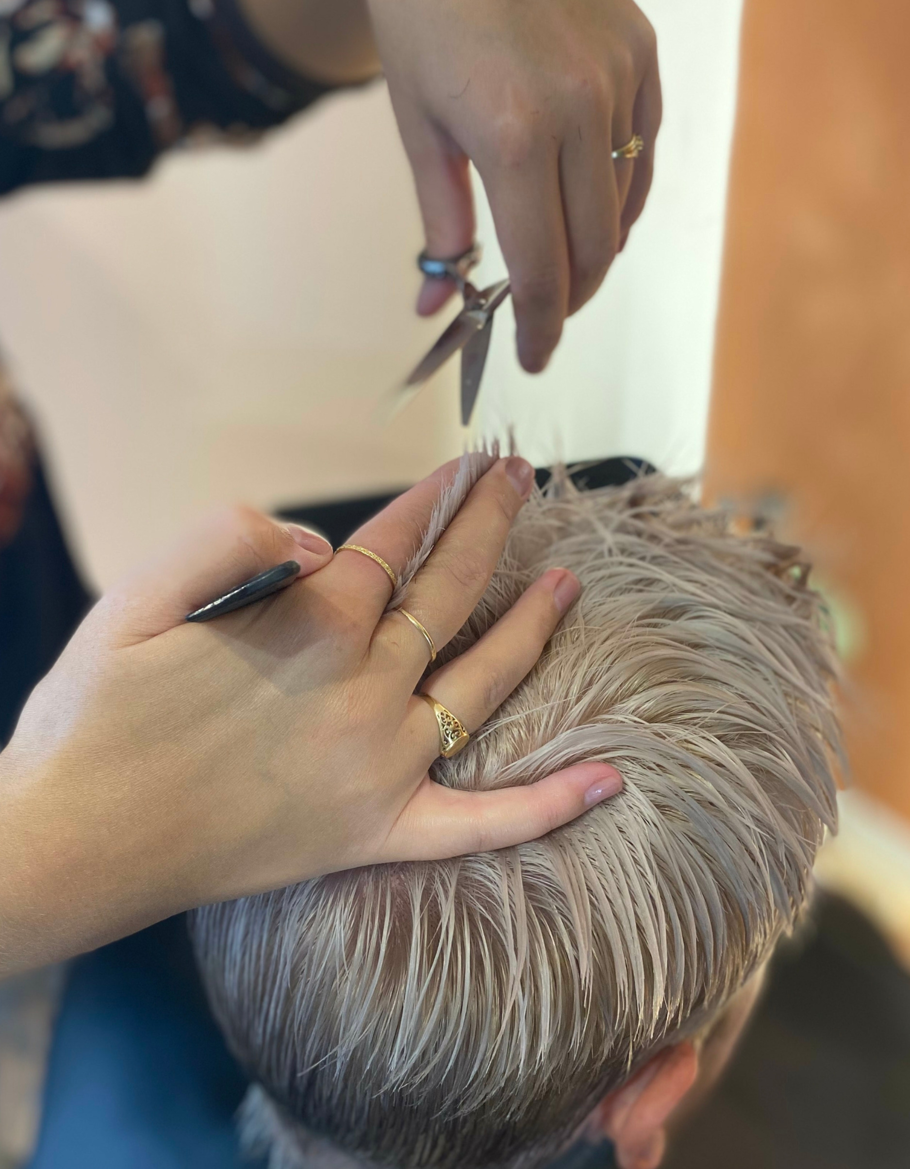 https://lecocondecamille.fr/mes-prestations.html