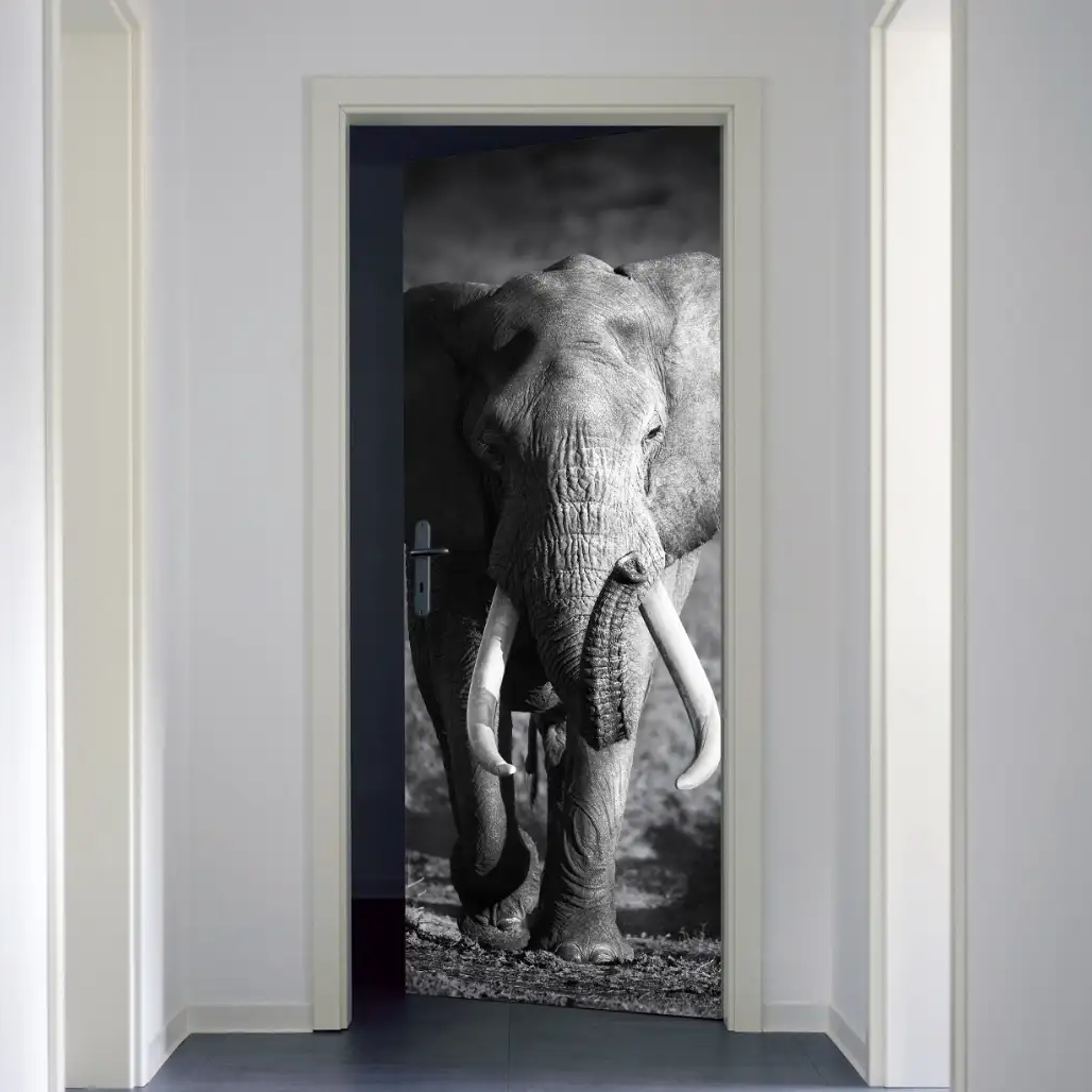stickers-porte-personnalisable-photo-principale-3