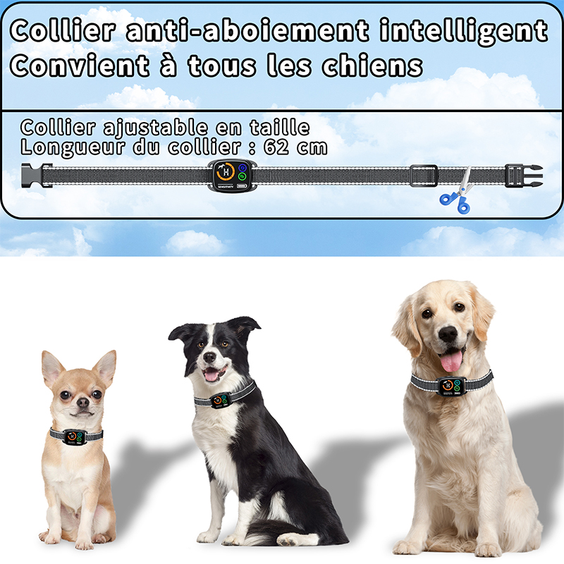 Sdaec811b370b4783949e4e3c7844d9ffC