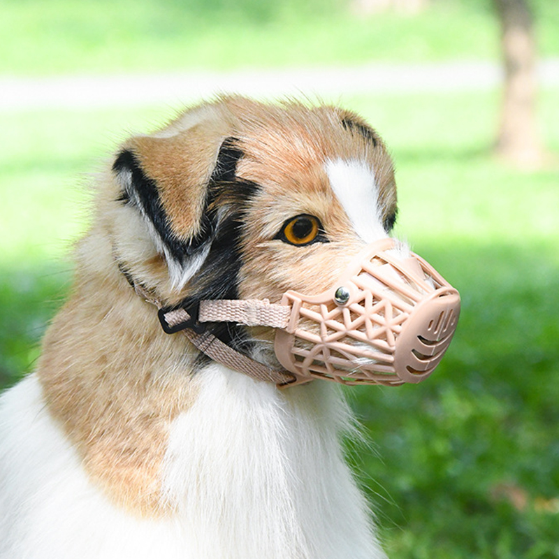 HTB1lF0YLNnaK1RjSZFtq6zC2VXa1