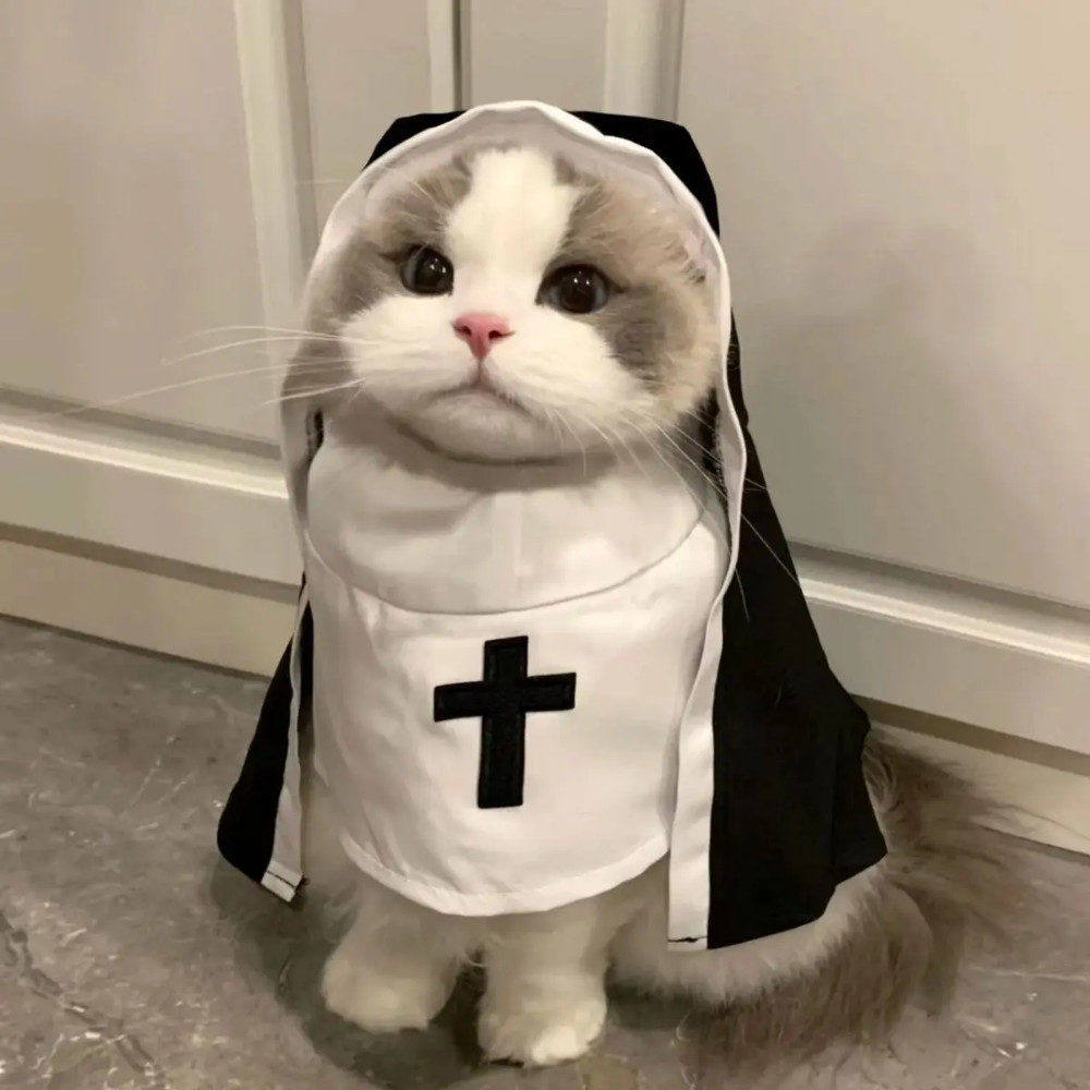 S041cad78ad5a41948b1545b2cad06f6b1