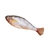 S7236df7bf48c49caa296e0e99dab26a3D