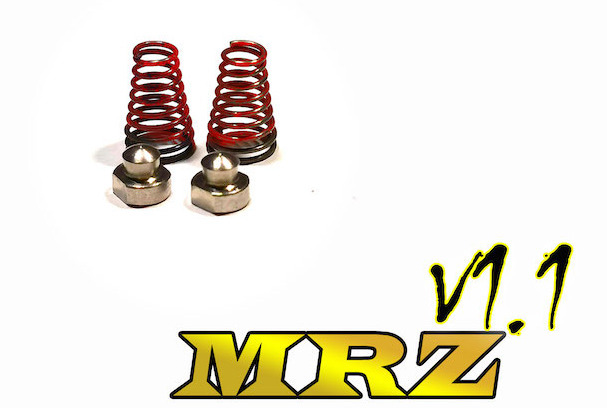 mrzv11-01-s