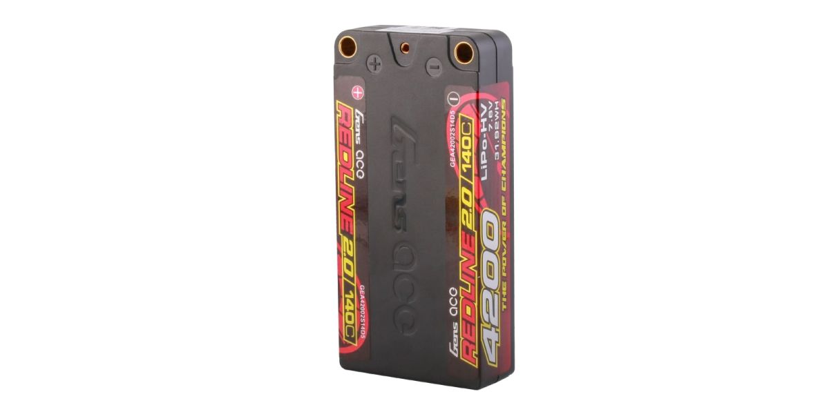 GEA42002S14D5_3