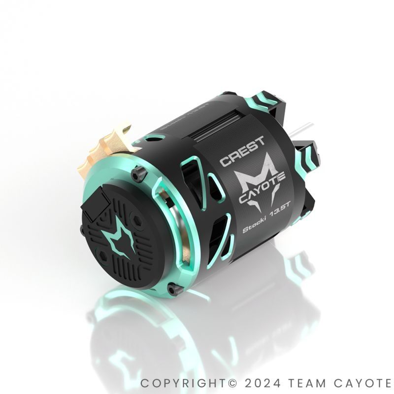 CYEB11011 CAYOTE Crest Stocki 13.5T Brushless Motor 1_1920x1920N