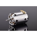 ruddog-rp540-65t-540-sensored-brushless-motor