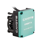 caa11001_4