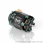 CYEB11011 CAYOTE Crest Stocki 13.5T Brushless Motor_1920x1920