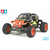 58502_Blitzer-Beetle