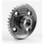 xray-364955