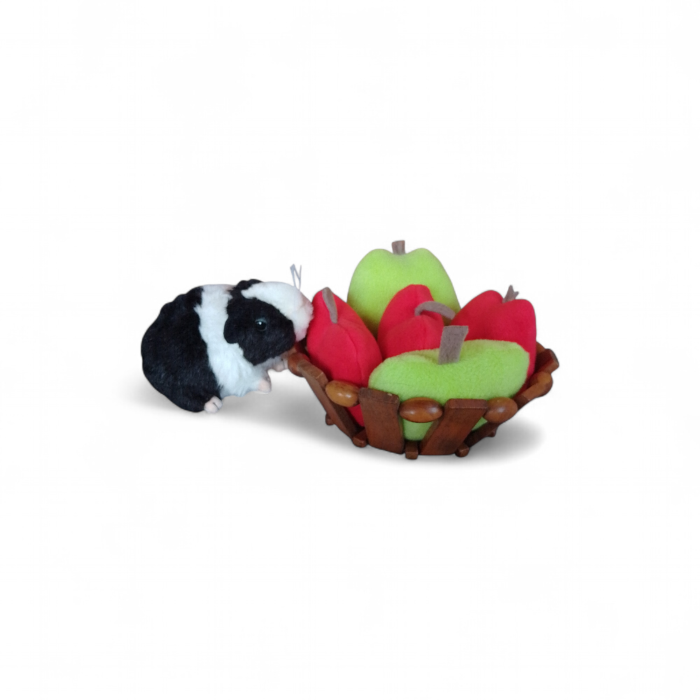 coussin-cochon-dans-une-panier-d-inde
