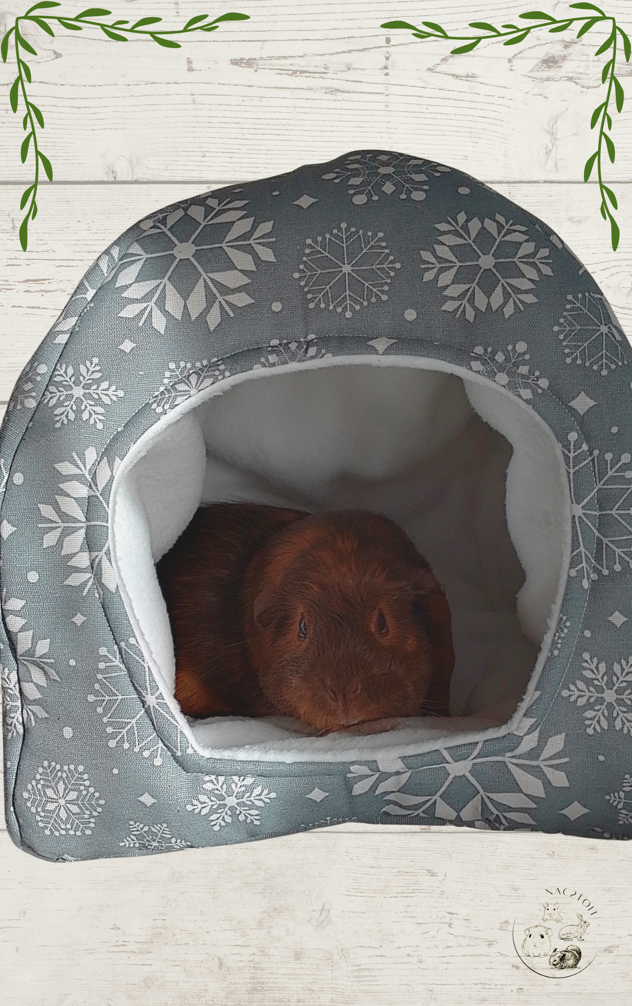 Cochon d’Inde dans igloo NAC2TOIT avec tapis absorbant