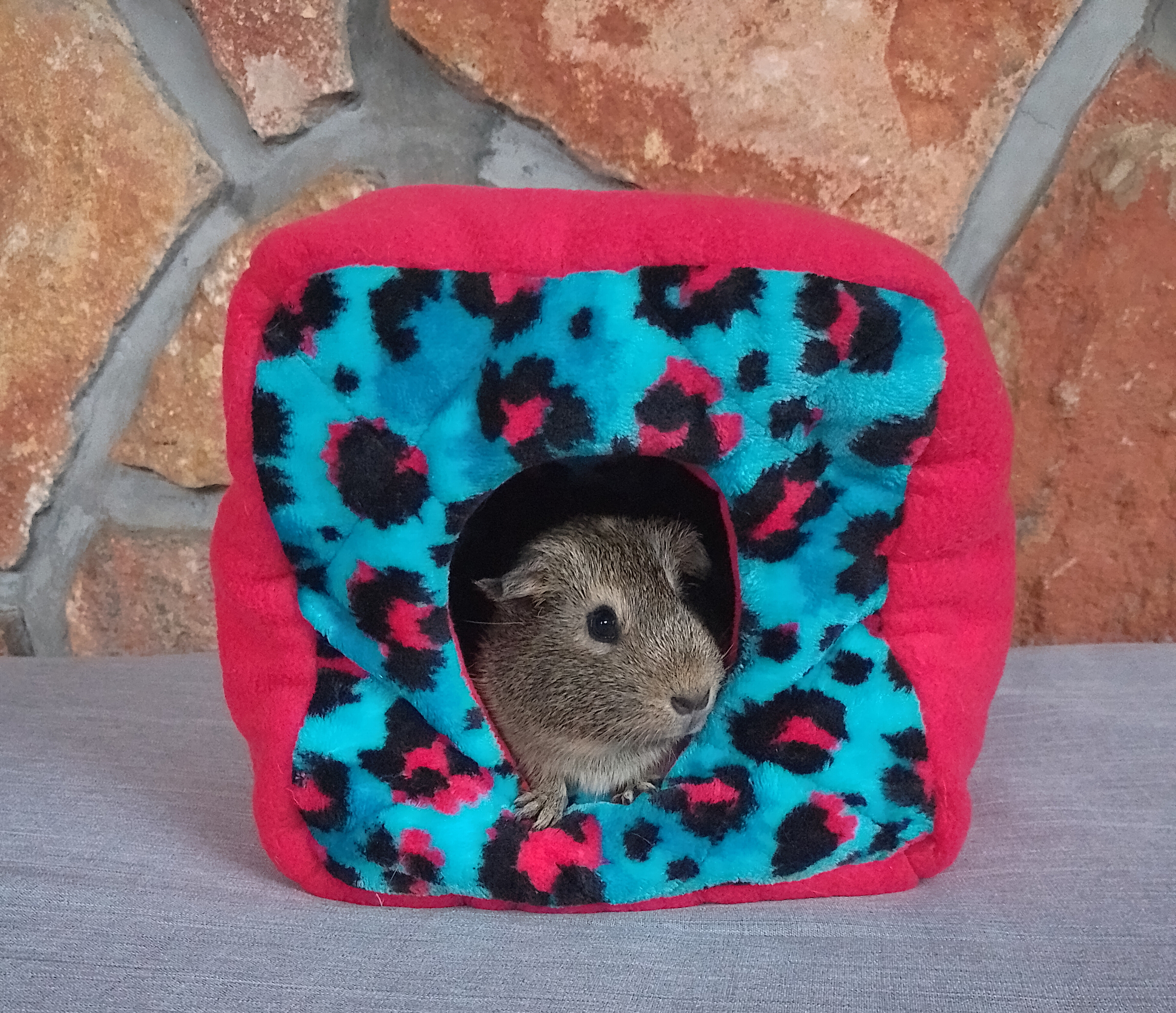 cochon d inde dans un cube hamac