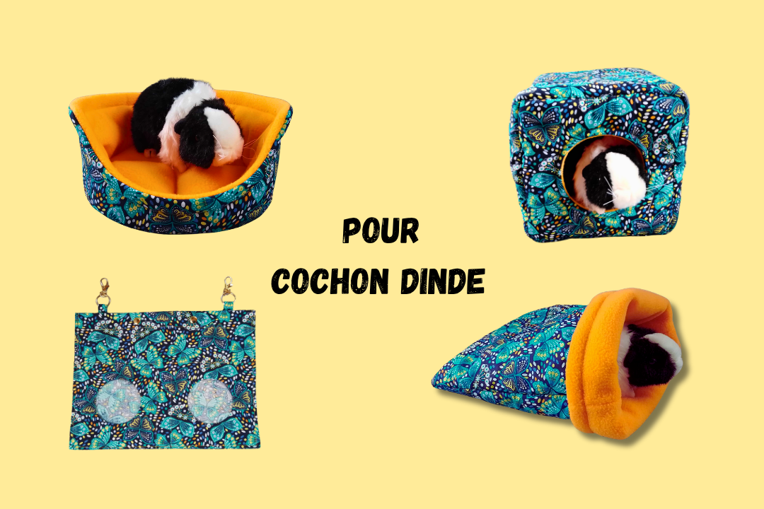 categorie kit cochon d inde nac2toit