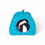 cochon-d-inde-dans-un-igloo-bleu-etoile-cabane-douce-et-securisante