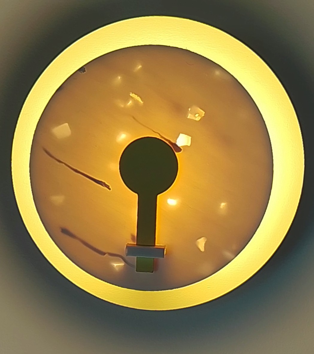 1000021146
