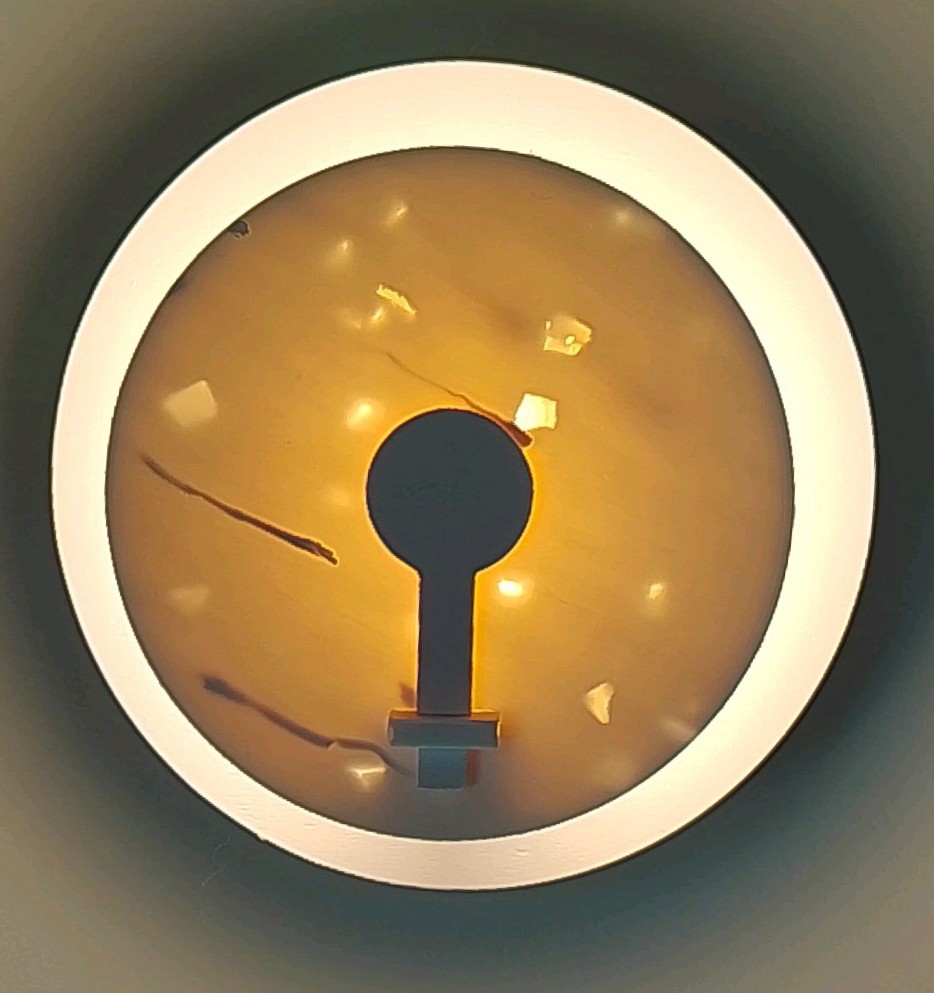 1000021148