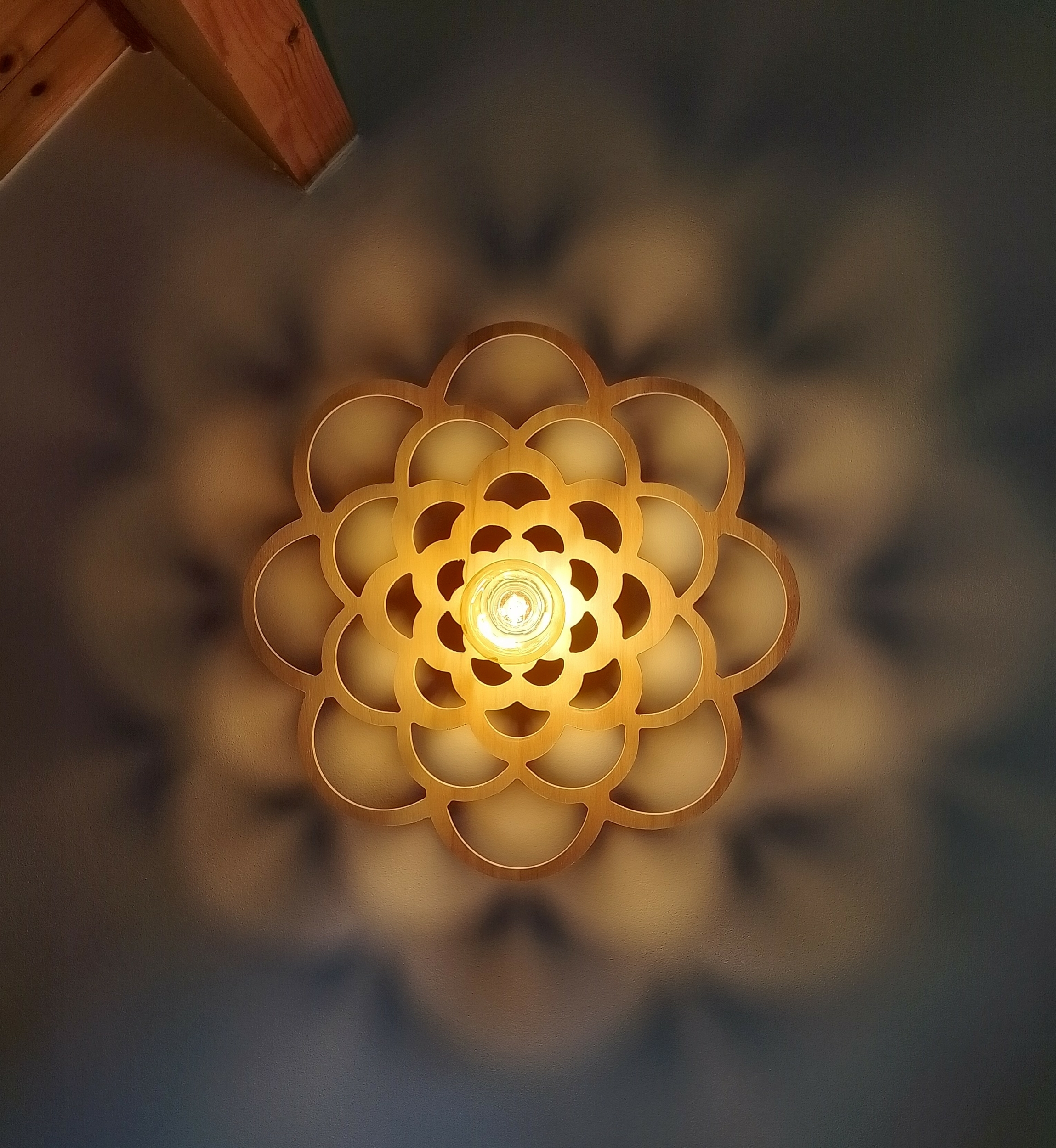 IMG_20250822_170354_HDR~2