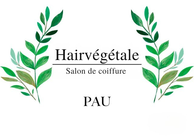 Hair végétale