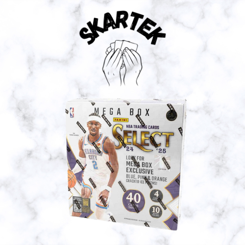 NBA Panini Select 2425 - Mega box