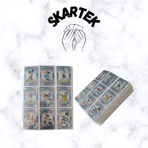 Full set Silver KKW Cosmos Disney + classeur