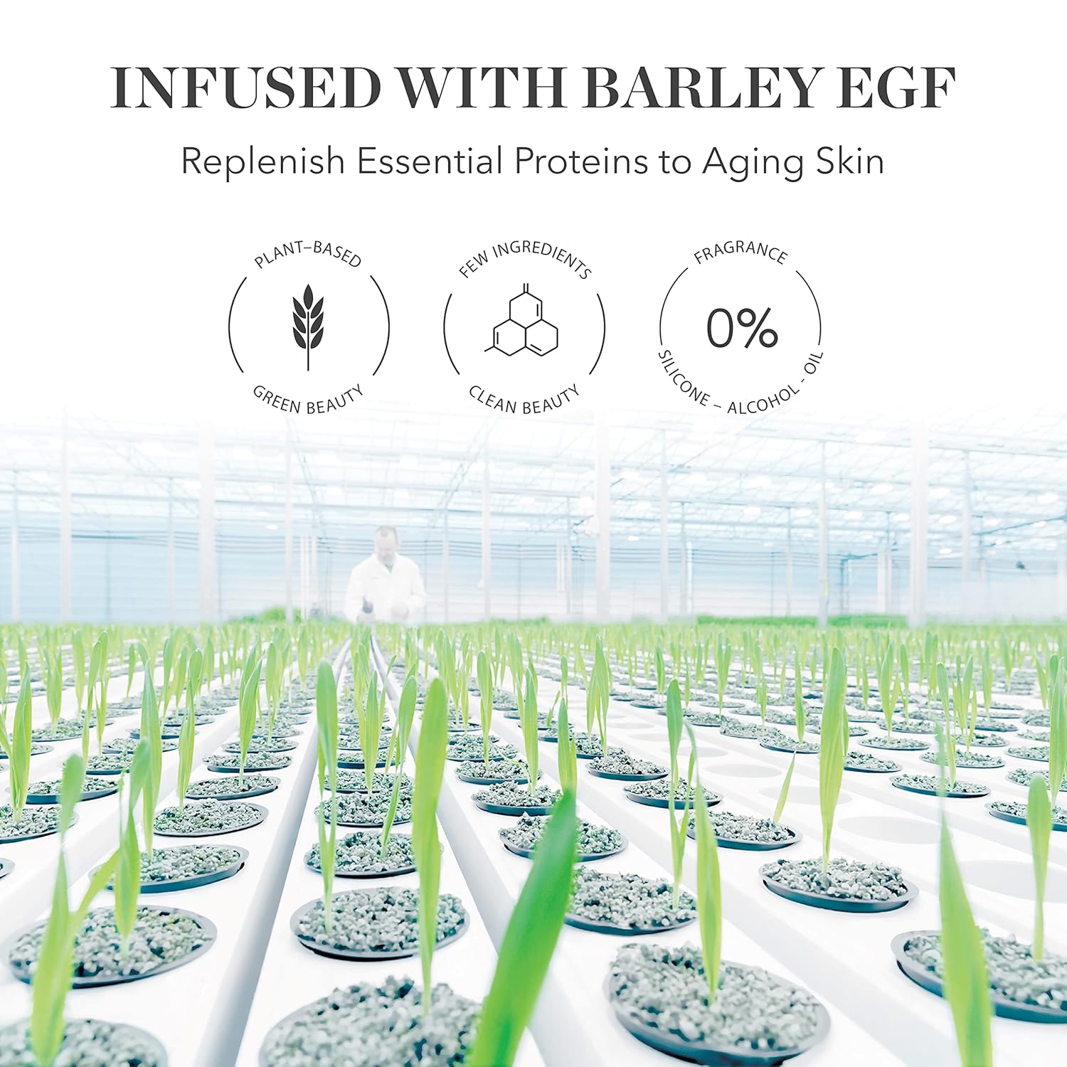 81PSleOUFkL._SL1500_