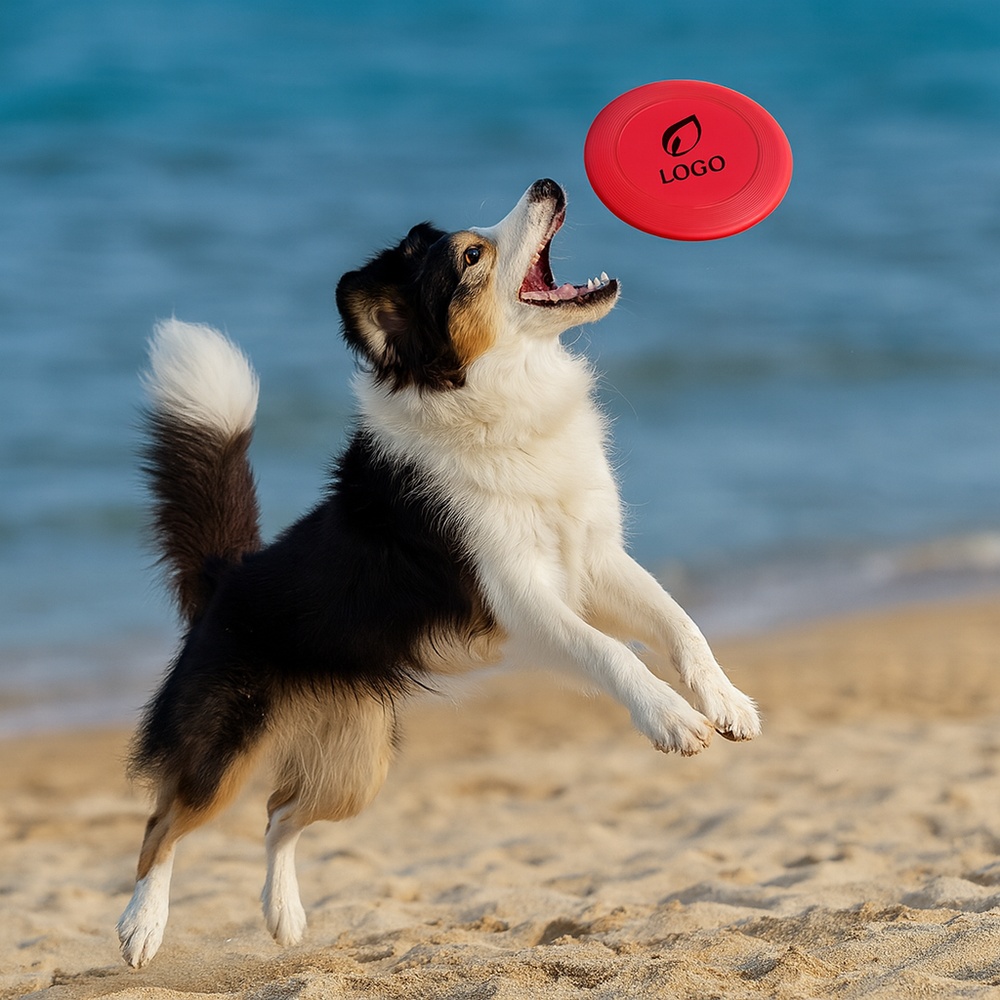 frisbee_plastique_21_cm_logo_ambiance