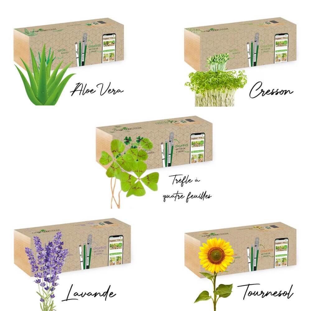 station_de_bureau_bois_gravee_avec_espace_plante_declinaisons