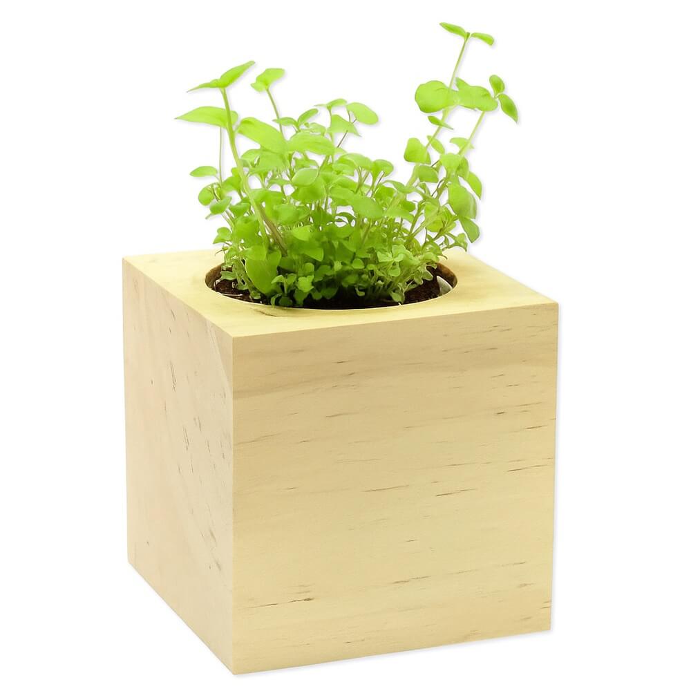 cube_vegetal_en_bois_grave_personnalisable_cressons