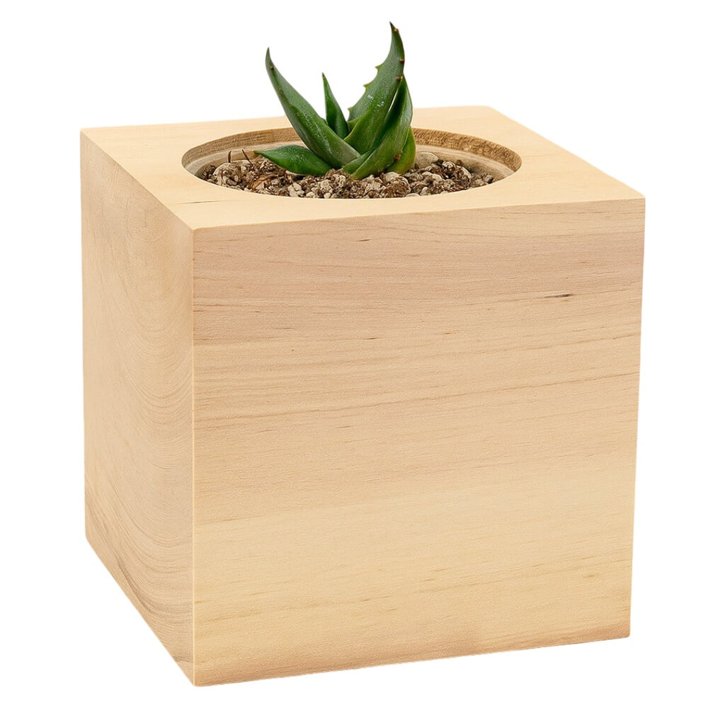 cube_vegetal_en_bois_grave_personnalisable_vierge
