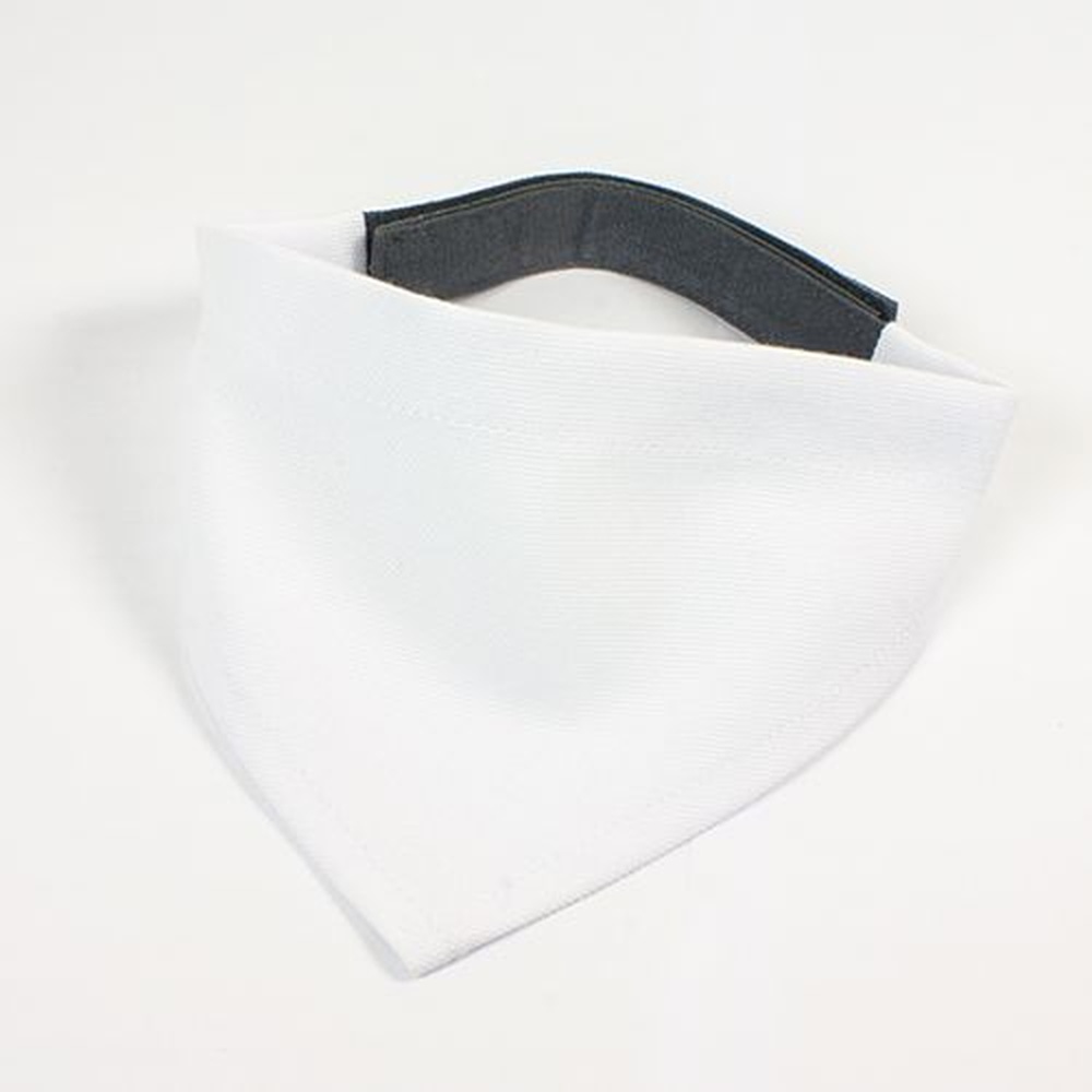 bandana_chien_personnalisable_a_scratch_vierge